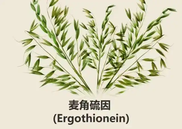 合成生物学重塑麦角硫因产业
